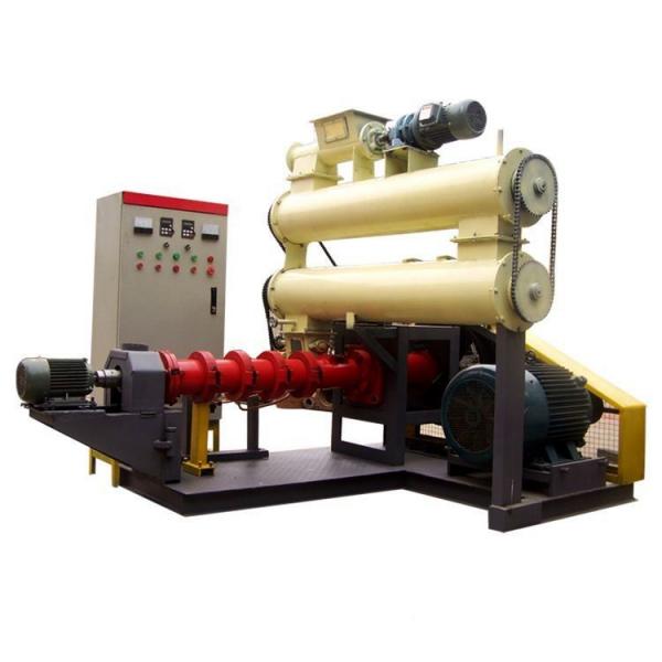 Automatic Twin Screw Extruder Small Floating Fish Feed Pellet Machine With Competitive Factory Price