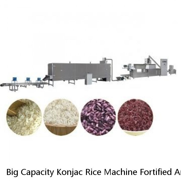 Big Capacity Konjac Rice Machine Fortified Artificial Rice Extruder Making Machine