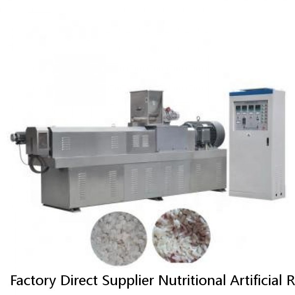 Factory Direct Supplier Nutritional Artificial Rice Machine/Extruder/Processing Line/Production Line